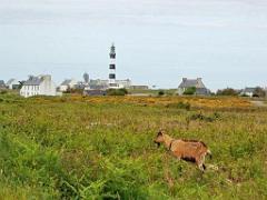 129 ILE DE OUESSANT_000041